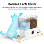 Smart WiFi Pet Feeder & Fountain